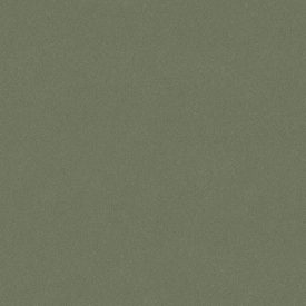 Boras / Pigment tapéta