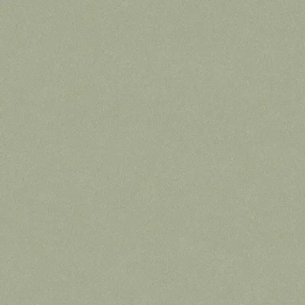 Boras / Pigment tapéta