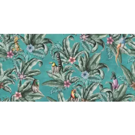 Tecnografica / Expedition