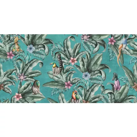 Tecnografica / Expedition