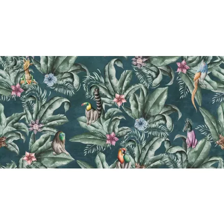 Tecnografica / Expedition