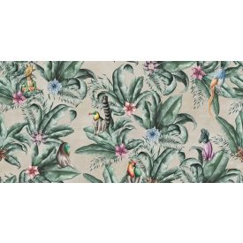 Tecnografica / Expedition