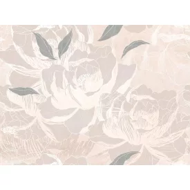 Tecnografica / Bioliving