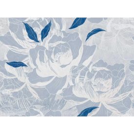 Tecnografica / Bioliving