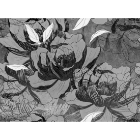 Tecnografica / Bioliving