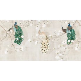 Tecnografica / Wild Essence