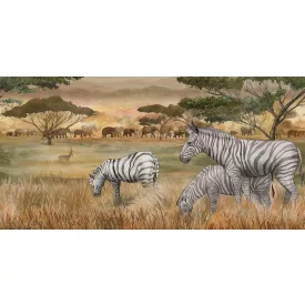 Tecnografica / Expedition