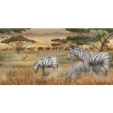 Tecnografica / Expedition