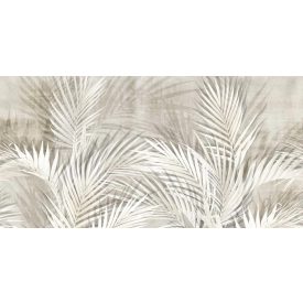 Tecnografica / Expedition