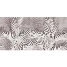 Tecnografica / Expedition