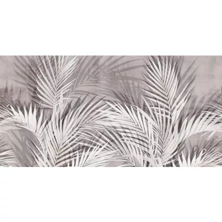 Tecnografica / Expedition