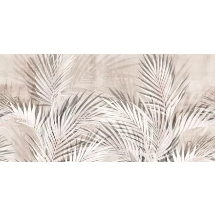 Tecnografica / Expedition