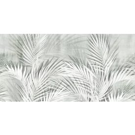 Tecnografica / Expedition