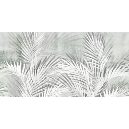 Tecnografica / Expedition