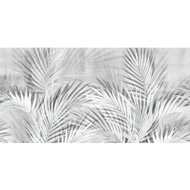 Tecnografica / Expedition