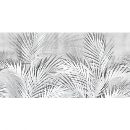 Tecnografica / Expedition