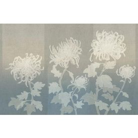 Tecnografica / Bioliving