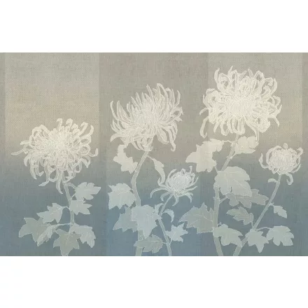 Tecnografica / Bioliving