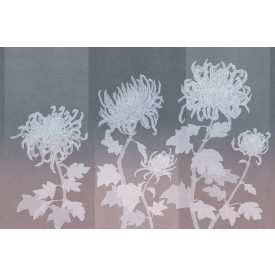 Tecnografica / Bioliving