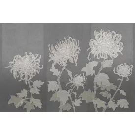 Tecnografica / Bioliving