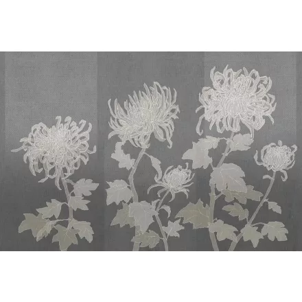 Tecnografica / Bioliving