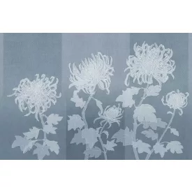 Tecnografica / Bioliving