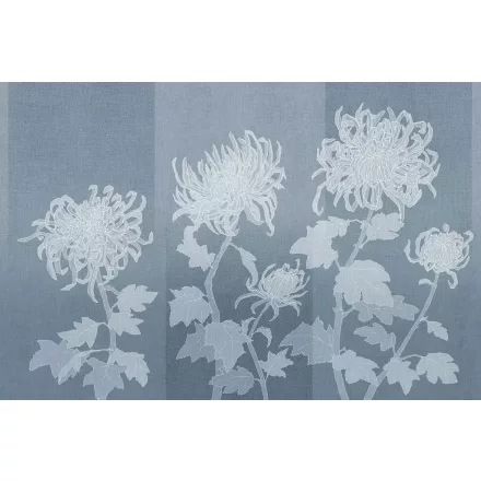 Tecnografica / Bioliving