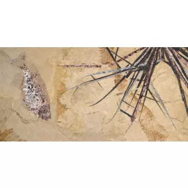 Tecnografica / Ultralight