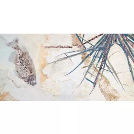 Tecnografica / Ultralight