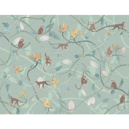 Tecnografica / Cinema