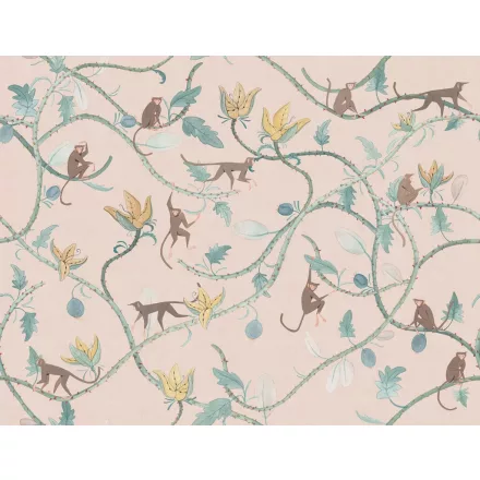 Tecnografica / Cinema