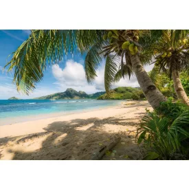 Komar / Into Illusions Edition 1 poszter