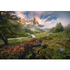 Komar / Into Illusions Edition 1 poszter