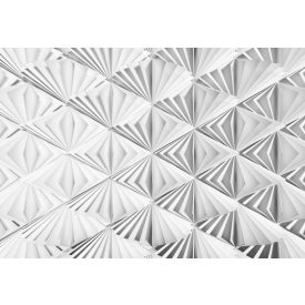 Komar / Into Illusions Edition 1 poszter