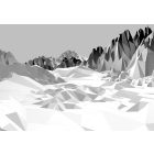 Komar / Into Illusions Edition 1 poszter