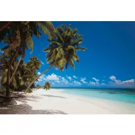 Komar / Into Illusions Edition 1 poszter