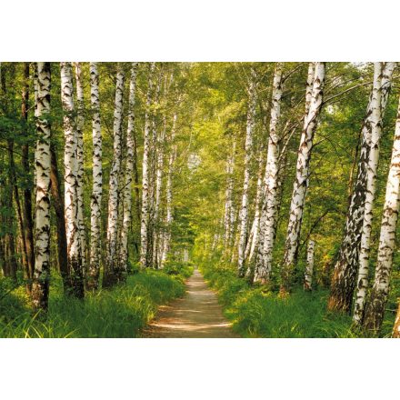 Komar / Into Illusions Edition 1 poszter