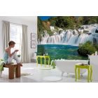 Komar / Into Illusions Edition 1 poszter