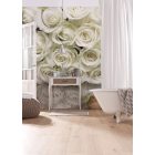 Komar / Into Illusions Edition 1 poszter