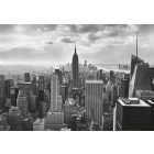 Komar / Into Illusions Edition 1 poszter