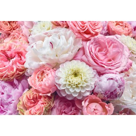 Komar / Into Illusions Edition 1 poszter