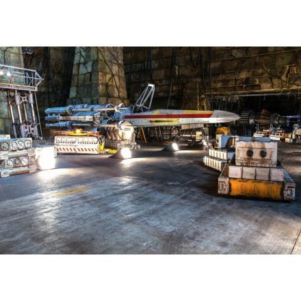 Komar / Into Illusions Edition 1 poszter