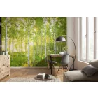 Komar / Into Illusions Edition 1 poszter