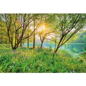 Komar / Into Illusions Edition 1 poszter