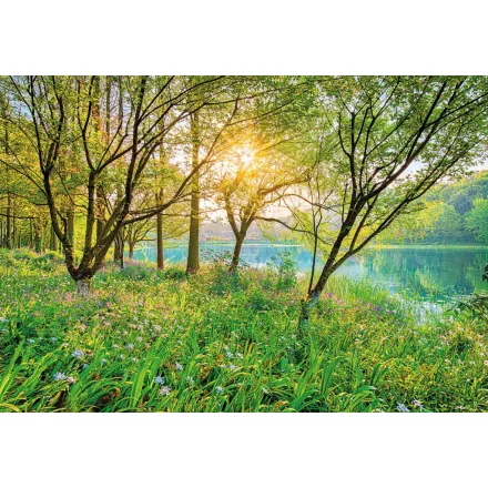 Komar / Into Illusions Edition 1 poszter