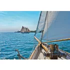 Komar / Into Illusions Edition 1 poszter