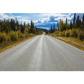 Komar / Into Illusions Edition 1 poszter