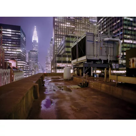 Komar / Into Illusions Edition 1 poszter