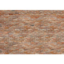 Komar / Into Illusions Edition 1 poszter