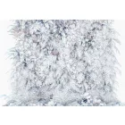 Komar / Into Illusions Edition 1 poszter